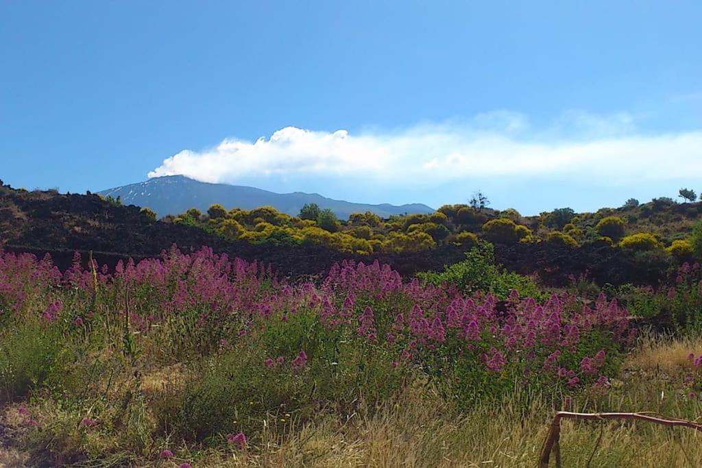 Odeonhouse - Catania - Parking Included Διαμέρισμα Εξωτερικό φωτογραφία