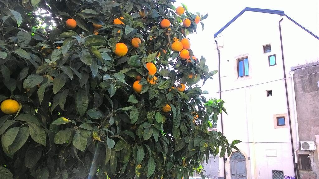 Odeonhouse - Catania - Parking Included Διαμέρισμα Εξωτερικό φωτογραφία